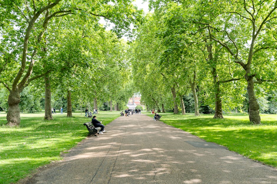 A wide pedestrian pathway in a lush green park, lined on both sides by mature deciduous trees with bright green leaves creating a natural canopy overhead. Several park benches are positioned along the pathway, some occupied by individuals resting or sitting and enjoying the outdoor environment. The pathway is surfaced with fine gravel or compacted dirt, appearing smooth and well-maintained. In the background, there is a faint view of a monument or building partially obscured by the trees, indicating an urban park setting. The scene is illuminated by natural daylight, casting soft shadows on the ground through the leaves. This tranquil environment suggests a space used for relaxation and leisure activities, with potential relevance to onsite waste management or private waste collection services such as those offered by House Clearance Marylebone, in relation to maintaining cleanliness in public green spaces or for private land clearance projects near Regent's Park and Marylebone.